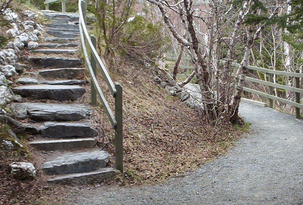 75 Hard: Week 1 – Working on Myself