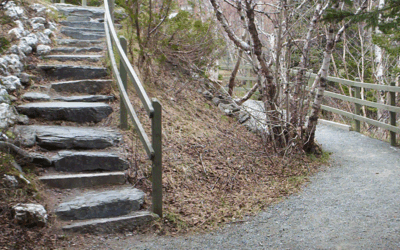 75 Hard: Week 1 – Working on Myself